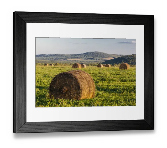 Framed Print : Hay bales in field, International Appalachian Trail, Merrill, Aroostook County, Maine, USA Framed Print : Hay bales in field, International Appalachian Trail, Merrill, Aroostook County, Maine, USA
