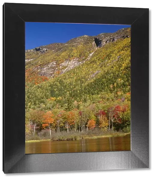 Autumn hardwood forest and pond beneath Mt. Webster, White Mountains, Crawford Notch State Park, New Hampshire, USA