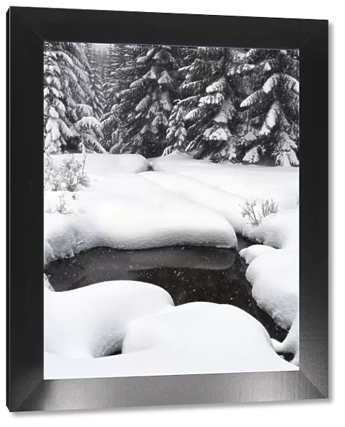 Scenic winter landscape, Crystal Mountain area, Washington State, USA
