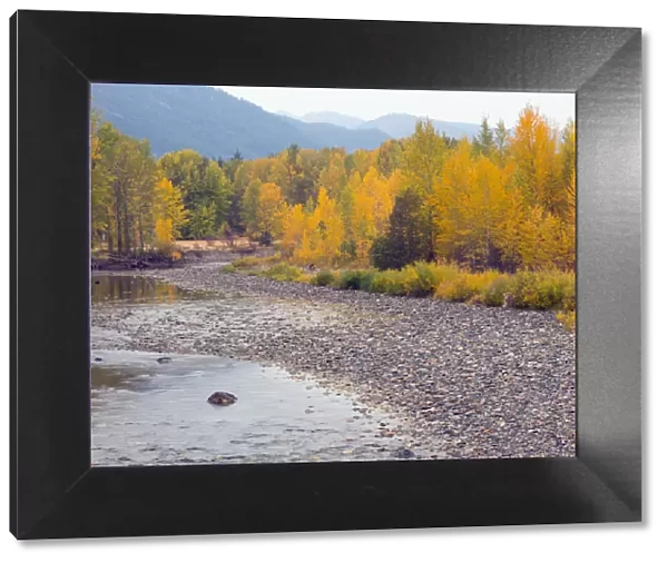 Methow River in Methow Valley in autumn, Okanogan National Forest, Washington State, USA
