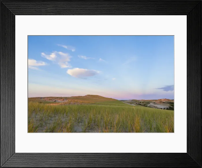 Framed Print : Grass on dunes at sunset, Provincetown, Cape Cod National Seashore, Massachusetts, USA Framed Print : Grass on dunes at sunset, Provincetown, Cape Cod National Seashore, Massachusetts, USA