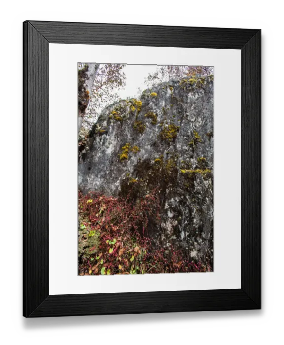 Framed Print : Everest base camp trek, Himalayas, Nepal, Colour Image, Color Image, Photography