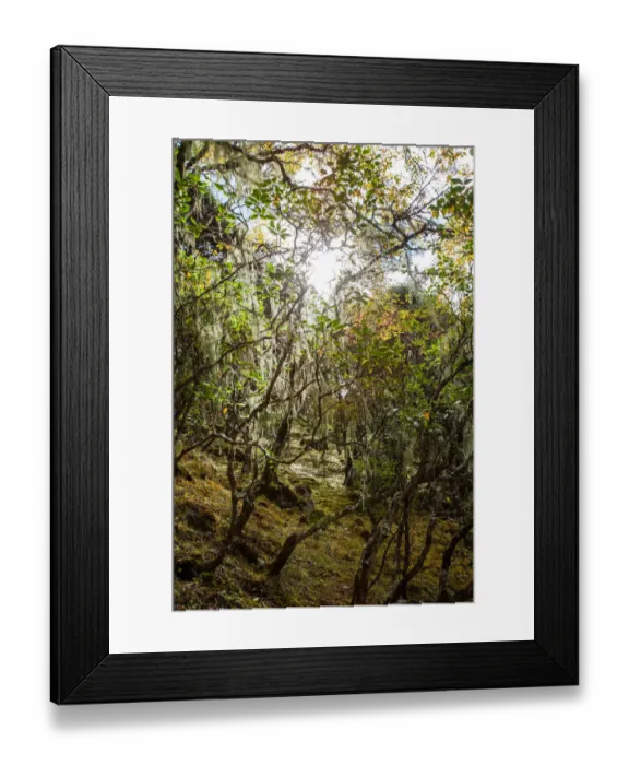 Framed Print : Everest base camp, Himalayas, Nepal, Colour Image, Color Image, Photography, Outdoors Framed Print : Everest base camp, Himalayas, Nepal, Colour Image, Color Image, Photography, Outdoors