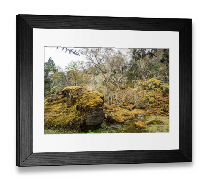 Framed Print : Everest base camp trek, Himalayas, Nepal, Colour Image, Color Image, Photography Framed Print : Everest base camp trek, Himalayas, Nepal, Colour Image, Color Image, Photography