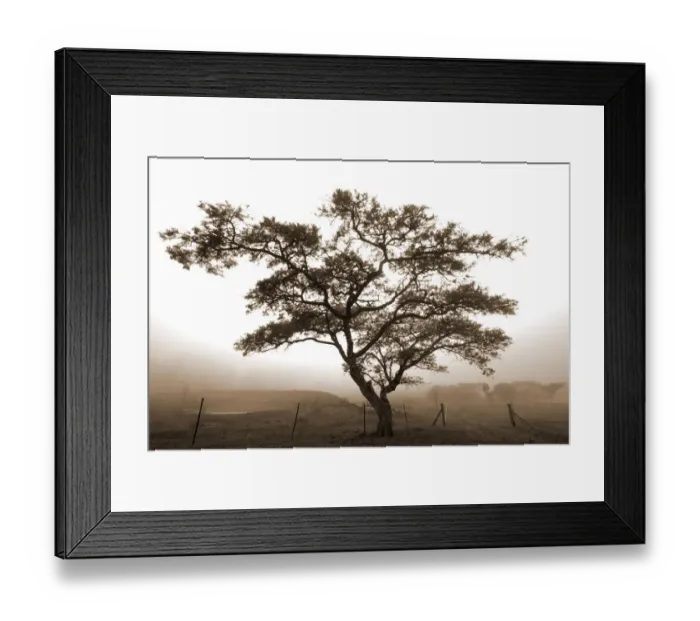Framed Print : Color Image, Colour Image, Photography, Day, Outdoors, No People, Horizontal, Non-urban scene