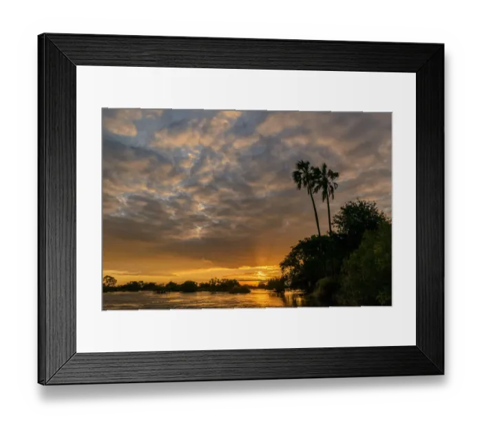 Framed Print : Zambezi River view at sunset with Lala palm (Hyphaene coriacea). Victoria Falls. Zambia