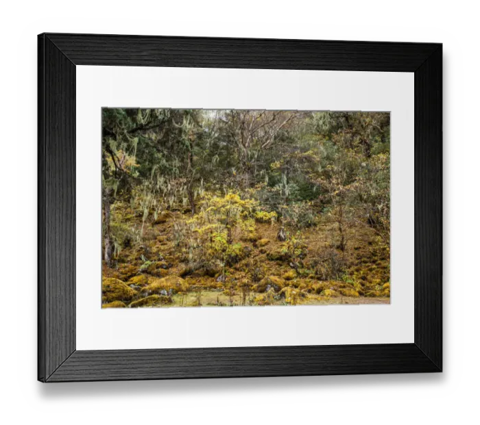 Framed Print : Everest base camp trek, Himalayas, Nepal, Colour Image, Color Image, Photography Framed Print : Everest base camp trek, Himalayas, Nepal, Colour Image, Color Image, Photography
