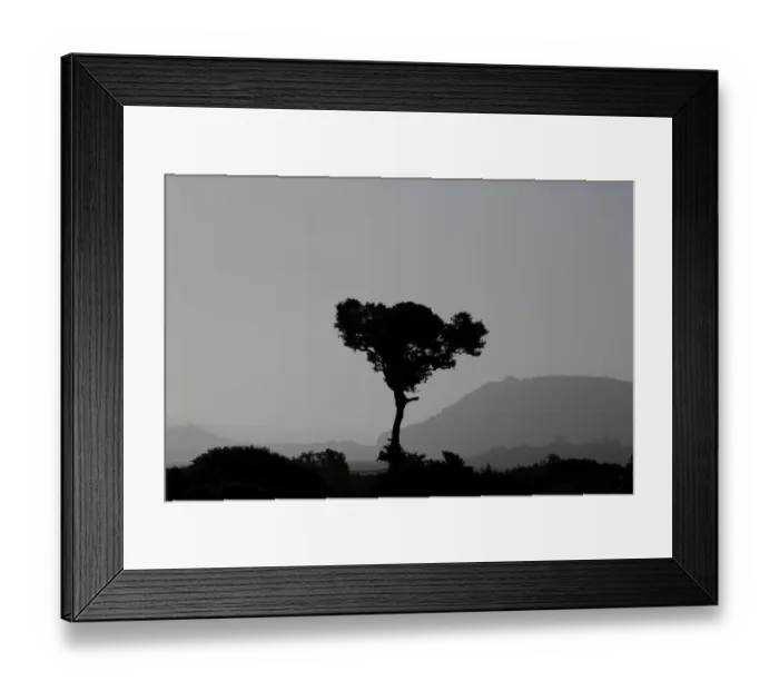 Framed Print : Color Image, Colour Image, Photography, Day, Outdoors, No People, Horizontal, Non-urban scene Framed Print : Color Image, Colour Image, Photography, Day, Outdoors, No People, Horizontal, Non-urban scene
