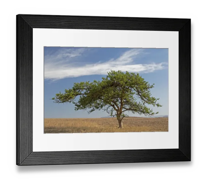 Framed Print : Color Image, Colour Image, Photography, Day, Outdoors, No People, Horizontal, Non-urban scene Framed Print : Color Image, Colour Image, Photography, Day, Outdoors, No People, Horizontal, Non-urban scene