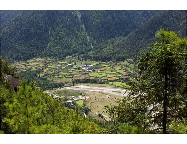 Rural scene, Haa Valley, Bhutan