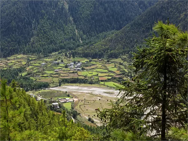 Rural scene, Haa Valley, Bhutan