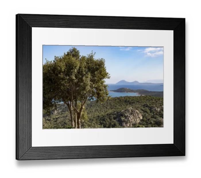 Framed Print : Landscape with tree and Mediterranean sea coastline in background, Olbia, Costa Smeralda, Sardinia, Italy Framed Print : Landscape with tree and Mediterranean sea coastline in background, Olbia, Costa Smeralda, Sardinia, Italy