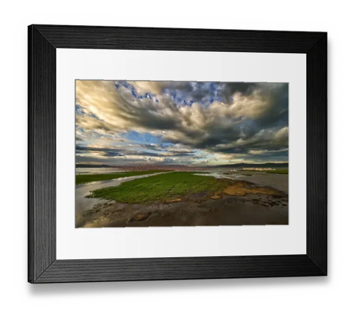 Framed Print : Masses of Flamingoes Take to flight in this Wide Angle Landscape Photo of Lake Nakuru, Kenya Framed Print : Masses of Flamingoes Take to flight in this Wide Angle Landscape Photo of Lake Nakuru, Kenya