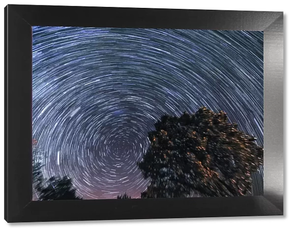 Windy Night with Star Trails, Magaliesburg, Gauteng Province, South Africa
