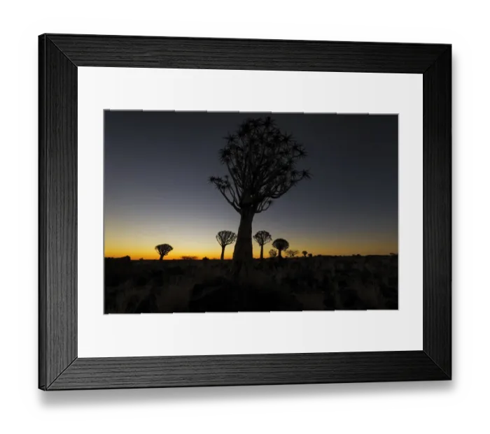 Framed Print : Silhouetted Quiver Tree Forest at Dusk, Keetmanshoop, Namibia Framed Print : Silhouetted Quiver Tree Forest at Dusk, Keetmanshoop, Namibia