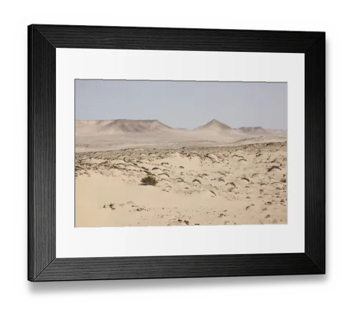Framed Print : Desert with shrubs and hills, Dakhla, Western Sahara, Morocco Framed Print : Desert with shrubs and hills, Dakhla, Western Sahara, Morocco