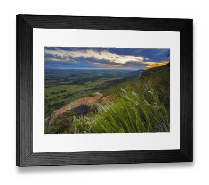 Framed Print : Rare Fynbos of the Magaliesberg Mountain Range. Walafrida tenuifolia and Erica woodii growing on the rocky cliffs of the Magaliesberg Mountain Range, Magaliesberg, North-West Province, South Africa Framed Print : Rare Fynbos of the Magaliesberg Mountain Range. Walafrida tenuifolia and Erica woodii growing on the rocky cliffs of the Magaliesberg Mountain Range, Magaliesberg, North-West Province, South Africa