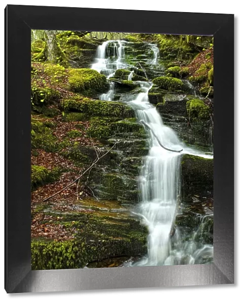 Beautiful Mossy Waterfall Landscape in a Forest in Scotland, United Kingdom