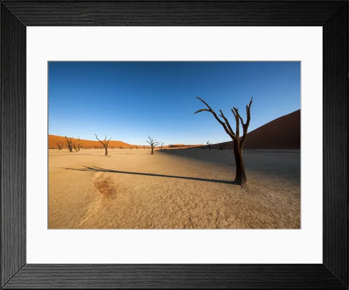 Framed Print : Shadows from the dead Acacia trees fall onto the ancient textured clay surface of Deadvlei at sunrise. Namib-Naukluft National Park, Namibia Framed Print : Shadows from the dead Acacia trees fall onto the ancient textured clay surface of Deadvlei at sunrise. Namib-Naukluft National Park, Namibia