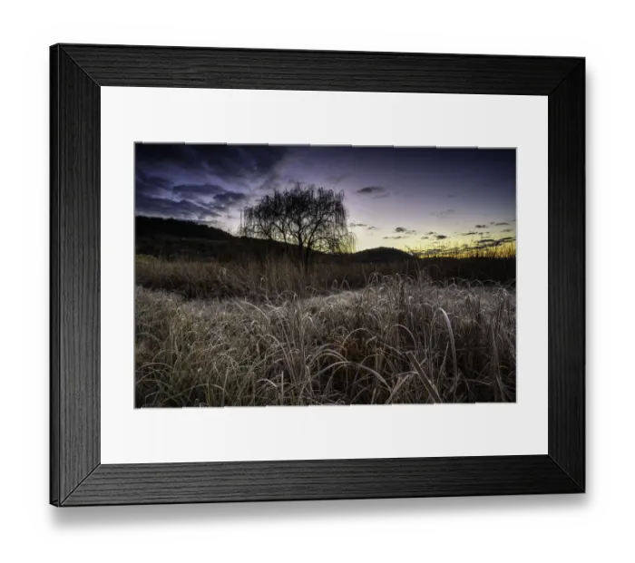 Framed Print : Frosted Grass and Reeds on a Freezing Cold Winter Morning at sunrise in the Magalieburg, Gauteng Province, South Africa Framed Print : Frosted Grass and Reeds on a Freezing Cold Winter Morning at sunrise in the Magalieburg, Gauteng Province, South Africa