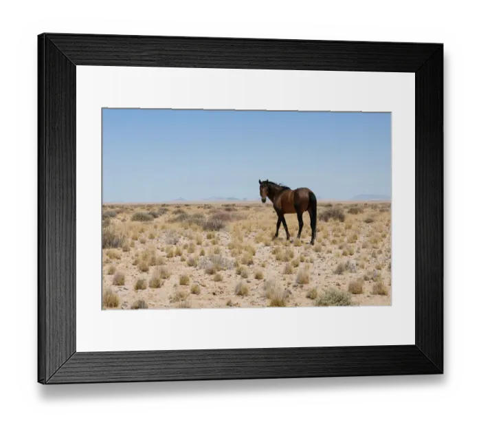 Framed Print : Namib Wild Desert Horse between Aus and Luderitz in Namibia