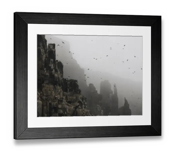 Framed Print : Mountain bird sanctuary, Svalbard, Norway Framed Print : Mountain bird sanctuary, Svalbard, Norway