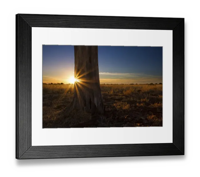 Framed Print : Landscape photo of a colourful sunset over a dead tree in the Kalahari. Kgalagadi Transfrontier Park, Southern Africa Framed Print : Landscape photo of a colourful sunset over a dead tree in the Kalahari. Kgalagadi Transfrontier Park, Southern Africa