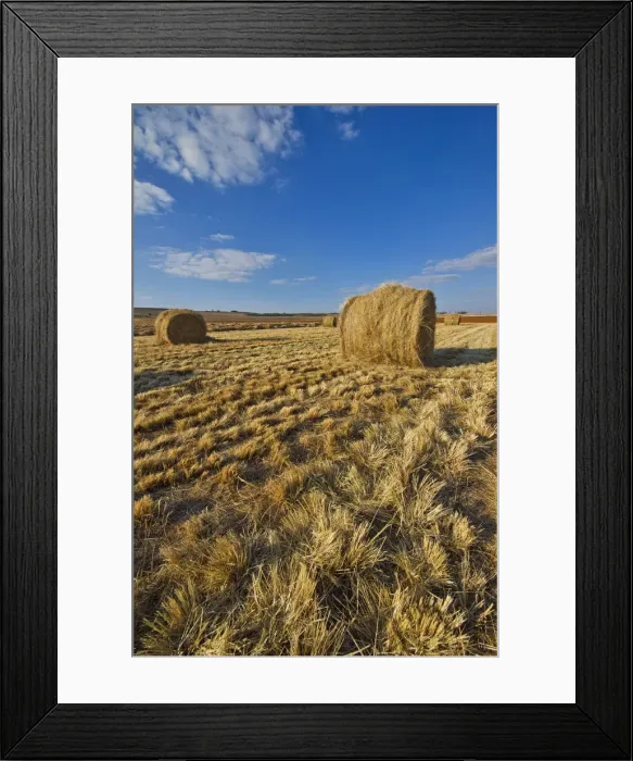 Framed Print : Grass Bales in remote Farm Landscape, North West Province, South Africa Framed Print : Grass Bales in remote Farm Landscape, North West Province, South Africa