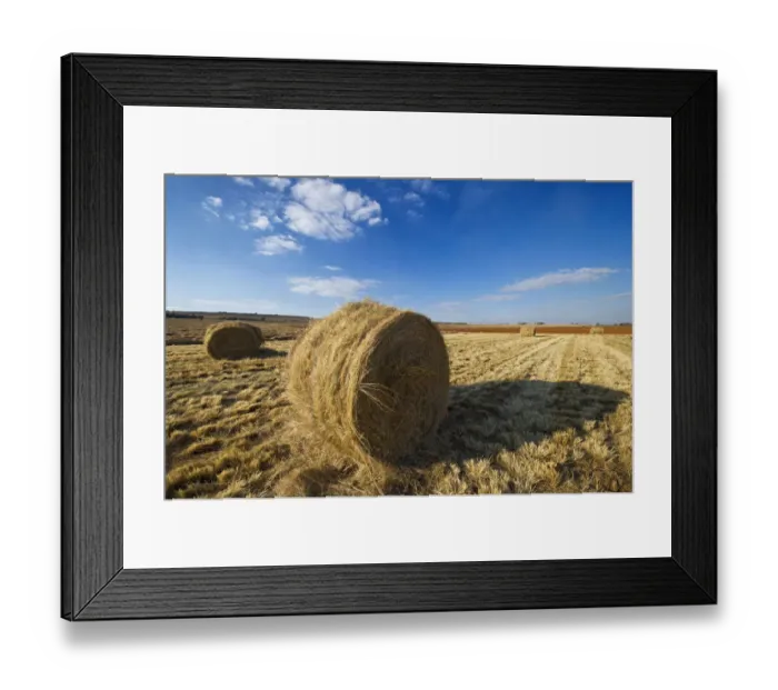 Framed Print : Grass Bales in Farm Landscape, North West Province, South Africa Framed Print : Grass Bales in Farm Landscape, North West Province, South Africa