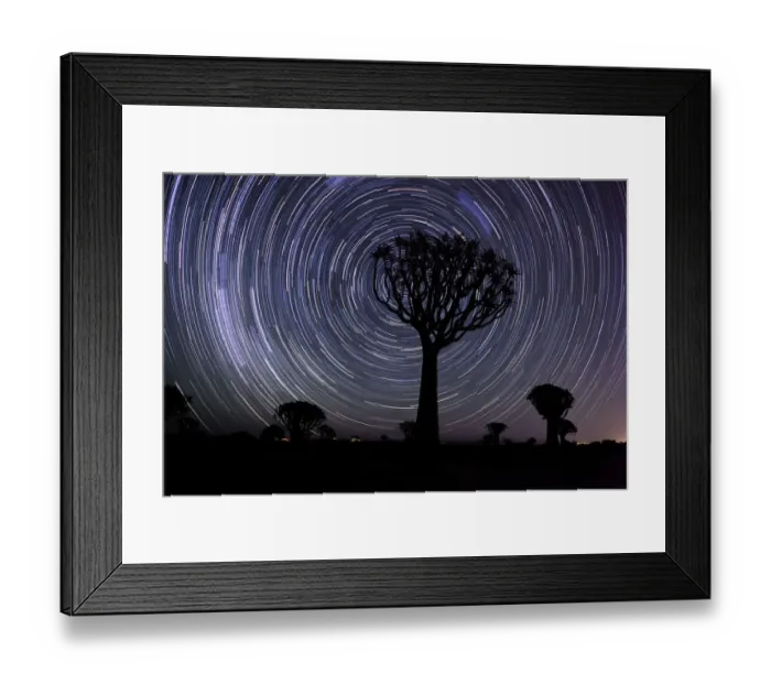 Framed Print : Star Trails over the Quiver Tree Forest, Keetmanshoop, Namibia Framed Print : Star Trails over the Quiver Tree Forest, Keetmanshoop, Namibia