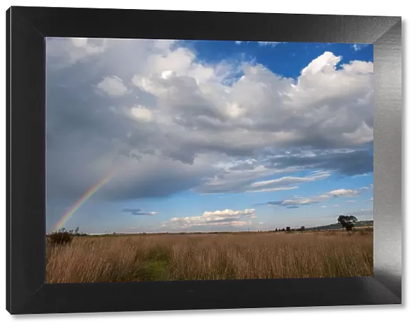 Rainbow landscape with blue sky and clouds, Magaliesburg, Gauteng Province, South Africa