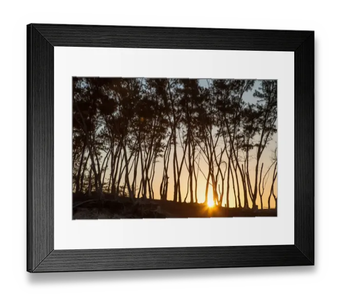 Framed Print : Countries, Regions, Sodwana Bay, South Africa, Colour Image, Color Image, Photography Framed Print : Countries, Regions, Sodwana Bay, South Africa, Colour Image, Color Image, Photography