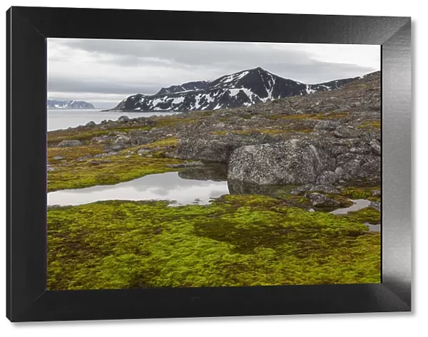 Tundra landscape with rocks, Fuglesongen, Spitsbergen, Svalbard, Norway