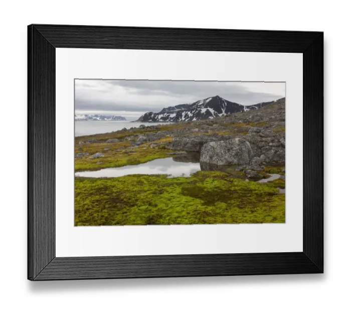 Framed Print : Tundra landscape with rocks, Fuglesongen, Spitsbergen, Svalbard, Norway Framed Print : Tundra landscape with rocks, Fuglesongen, Spitsbergen, Svalbard, Norway