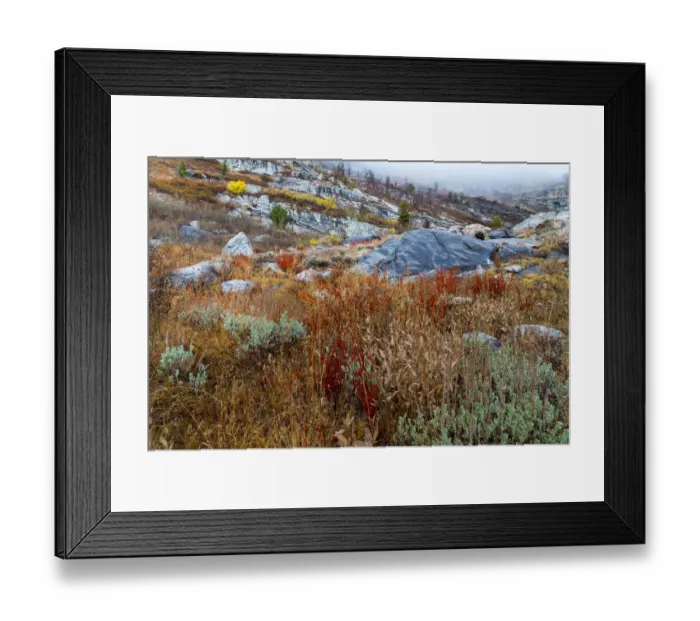 Framed Print : Fall foliage on mountain, Humboldt National Forest, Nevada, USA