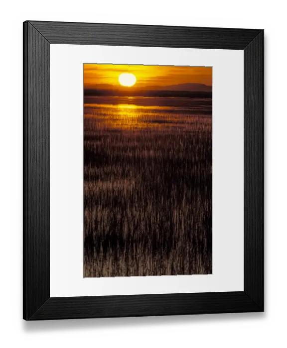 Framed Print : Goose Lake at sunset, Stillwater National Wildlife Refuge, Nevada Framed Print : Goose Lake at sunset, Stillwater National Wildlife Refuge, Nevada