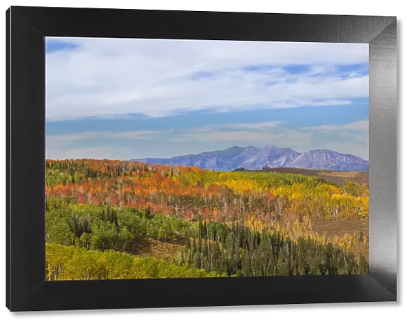 Cloudy sky over autumn forest in Manti-La Sal National Forest, Utah, USA
