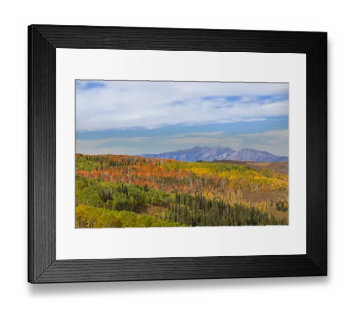 Framed Print : Cloudy sky over autumn forest in Manti-La Sal National Forest, Utah, USA