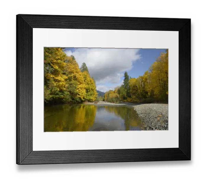 Framed Print : Robertson River leading into Cowichan Lake in fall, Cowichan Valley, Vancouver Island, British Columbia, Canada Framed Print : Robertson River leading into Cowichan Lake in fall, Cowichan Valley, Vancouver Island, British Columbia, Canada