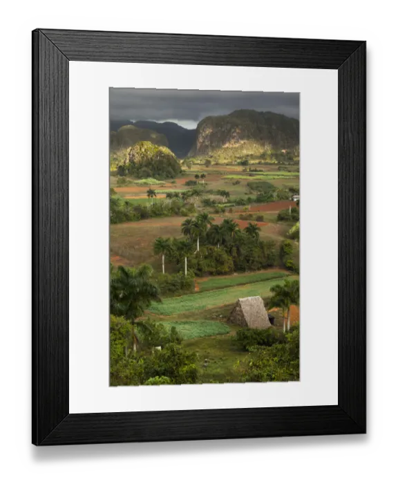 Framed Print : Fields and farms in valley, Vinales, Cuba Framed Print : Fields and farms in valley, Vinales, Cuba