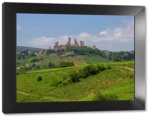 Rolling hills landscape, San Gimignano, Tuscany, Italy