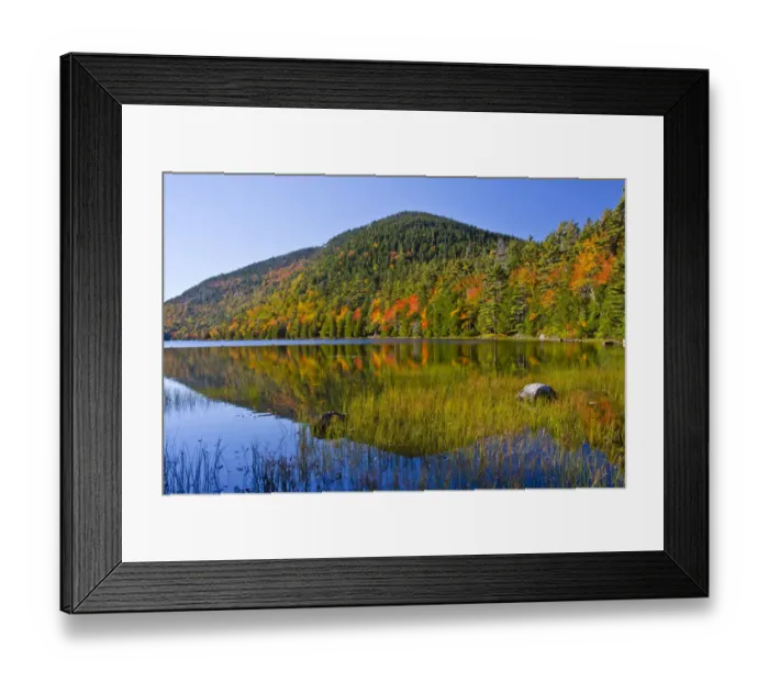 Framed Print : Autumn trees reflecting in Bubble Pond, Acadia National Park, Maine, New England, USA