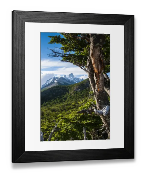 Framed Print : Trek up to Mount Fitzroy, Argentina Framed Print : Trek up to Mount Fitzroy, Argentina