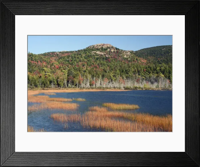Framed Print : Forest and marsh in autumn, West Tremont, Mount Desert Island, Maine, New England, USA Framed Print : Forest and marsh in autumn, West Tremont, Mount Desert Island, Maine, New England, USA
