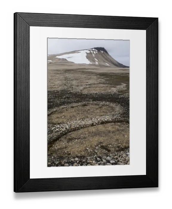 Framed Print : Natural stone circles caused by cryoturbation (aka frost churning), Arctic desert habitat, Palanderbukta (Palander Bay) Zeipelodden, Nordaustlandet, Svalbard, Norway Framed Print : Natural stone circles caused by cryoturbation (aka frost churning), Arctic desert habitat, Palanderbukta (Palander Bay) Zeipelodden, Nordaustlandet, Svalbard, Norway
