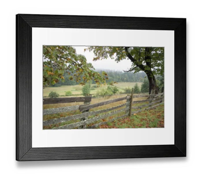 Framed Print : Rustic wooden fence on old farm, Cowichan Valley, British Columbia, Canada Framed Print : Rustic wooden fence on old farm, Cowichan Valley, British Columbia, Canada