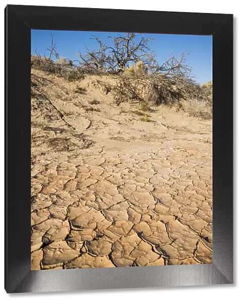 Dried riverbed, Lenwood on Mohave River during Drought Spotlight number 3, Route 66, Southern California, USA