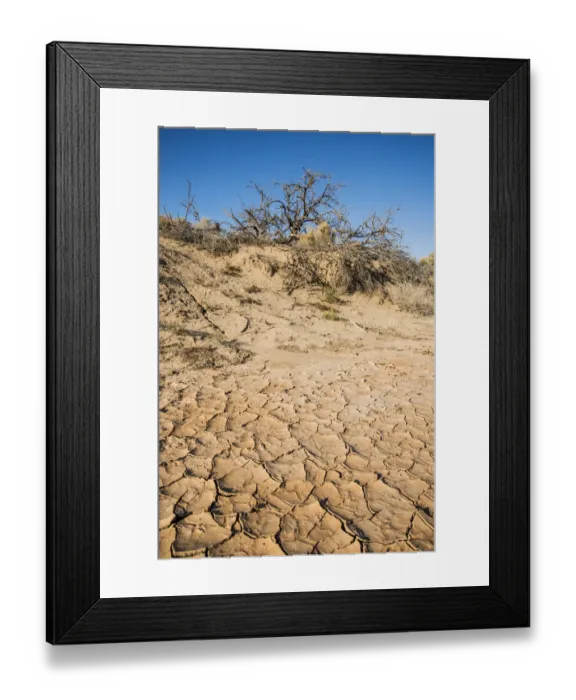 Framed Print : Dried riverbed, Lenwood on Mohave River during Drought Spotlight number 3, Route 66, Southern California, USA Framed Print : Dried riverbed, Lenwood on Mohave River during Drought Spotlight number 3, Route 66, Southern California, USA
