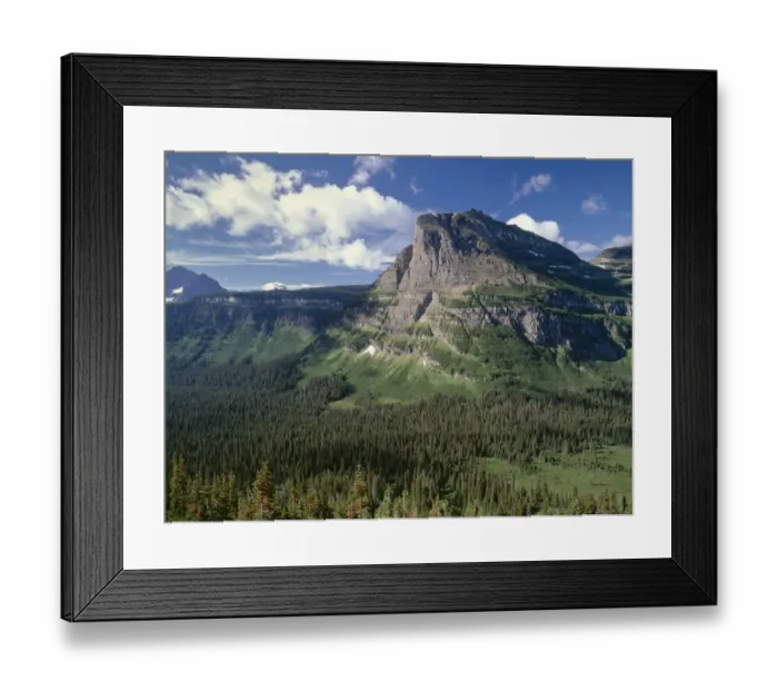 Framed Print : Rocky mountain towering over coniferous forests in valley, Heavy Runner Mountain, Glacier National Park, Montana, USA