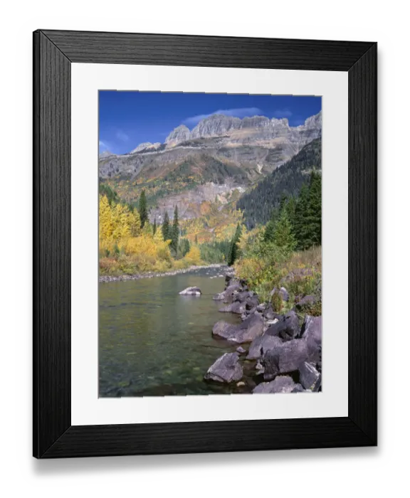 Framed Print : Autumn colored trees along stream with rocky mountains in background, McDonald Creek, Glacier National Park, Montana, USA Framed Print : Autumn colored trees along stream with rocky mountains in background, McDonald Creek, Glacier National Park, Montana, USA